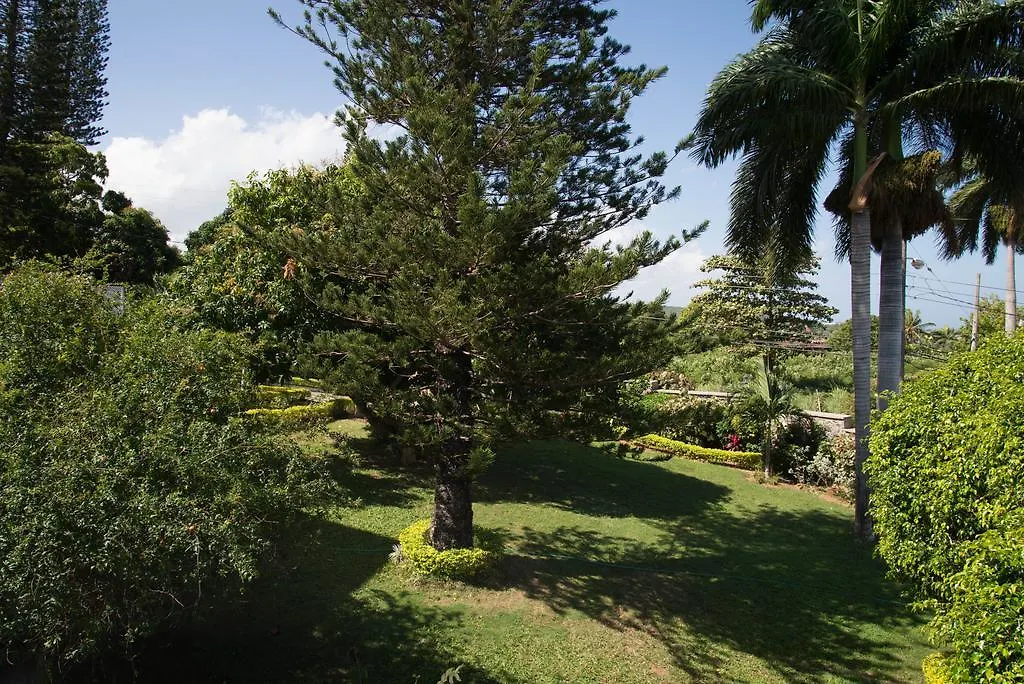 מונטגו ביי Hatfield South Villa מונטגו ביי